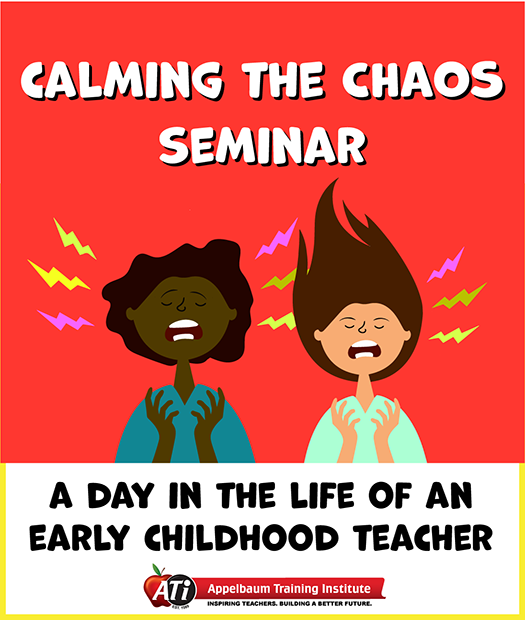 Image for Calming the Chaos Seminar