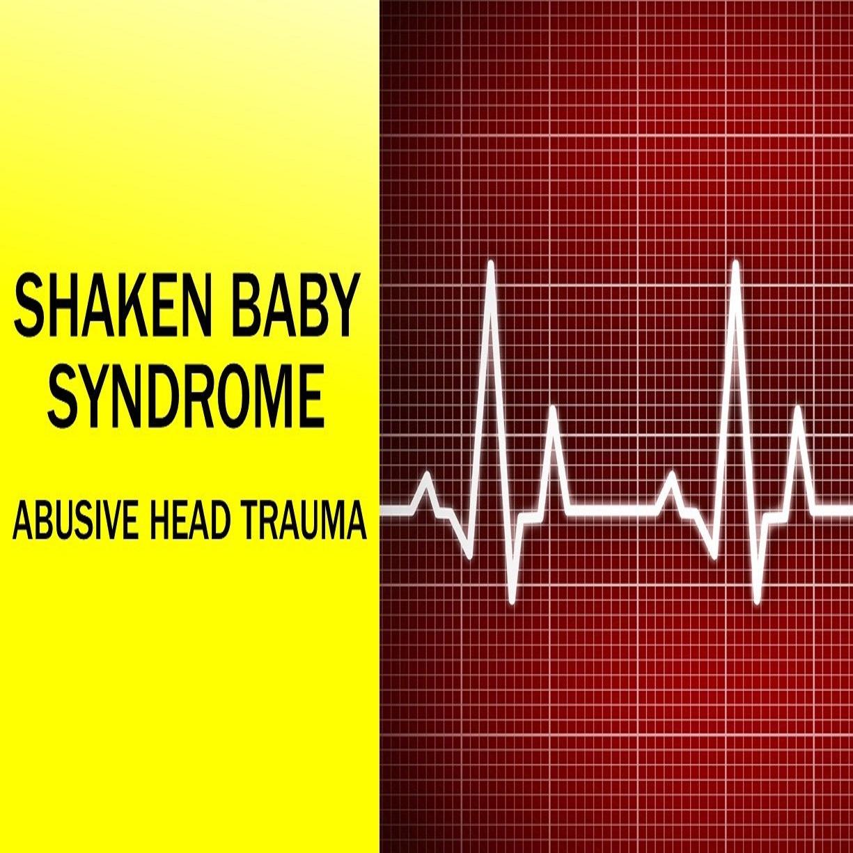 Image for Shaken Baby Syndrome (Abusive Head Trauma) Marty Appelbaum presents Shaken Baby Syndrome (Abusive Head Trauma)